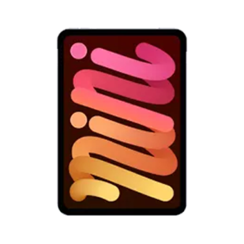 iPad repair service